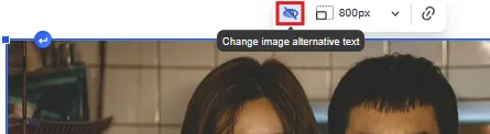 view-image-alt-text